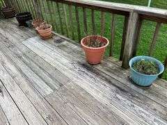 Assortment of Flower Pots