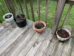 Assortment of Flower Pots