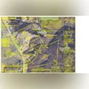 Thumbnail image of 099DW25WilliamsSept23AerialAuctionFinal.pdf