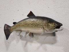 Vtg Steelhead Trout Taxidermy Mount