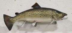 Vtg Steelhead Trout Taxidermy Mount