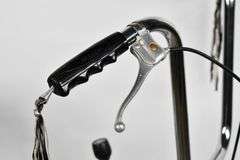 Custom Schwinn Sting-Ray Coal Krate Bicycle