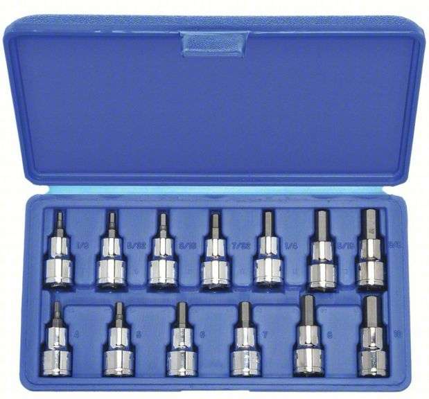 Westward 3/8” Driver SAE/Metric Hex Bit Socket Set & Hard Storage Case