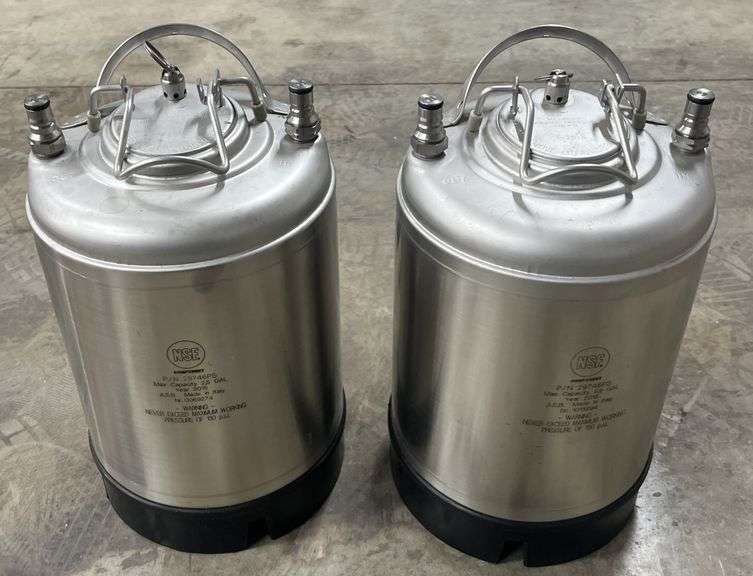 (G) 2.5 Gallon AEB Ball Lock Kegs