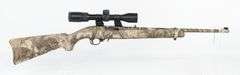 Ruger 10/22 .22 LR Semi Auto Rifle