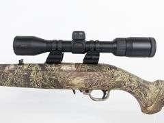 Ruger 10/22 .22 LR Semi Auto Rifle