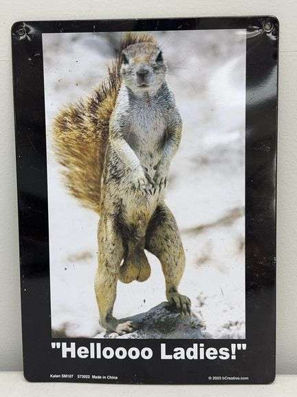 Hello Ladies Squirrel Metal Sign