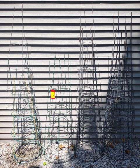 Tomato Cages