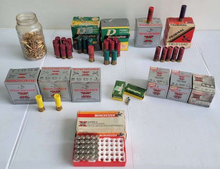 (AR) Live Ammunition