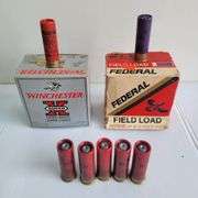 (AR) Live Ammunition