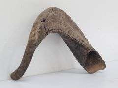(II) Ram Horns