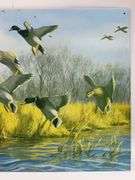Ducks Unlimited Metal Sign