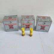 (AR) Live Ammunition
