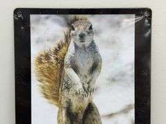 Hello Ladies Squirrel Metal Sign