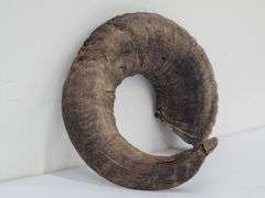 (II) Ram Horns