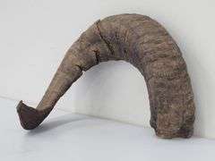 (II) Ram Horns