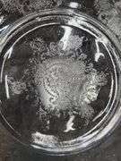 (Q) Vintage Hazel Atlas Florentine Pattern Clear Depression Glass Plates & Glasbake Ramekins
