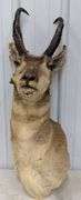 OLO 3 Day Wanatah Consignment Auction - Day 1