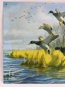 Ducks Unlimited Metal Sign