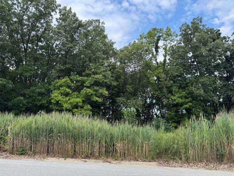 Lot 38- 730 Ketill Trace, Crown Point, IN - 0.436 Acre Lot