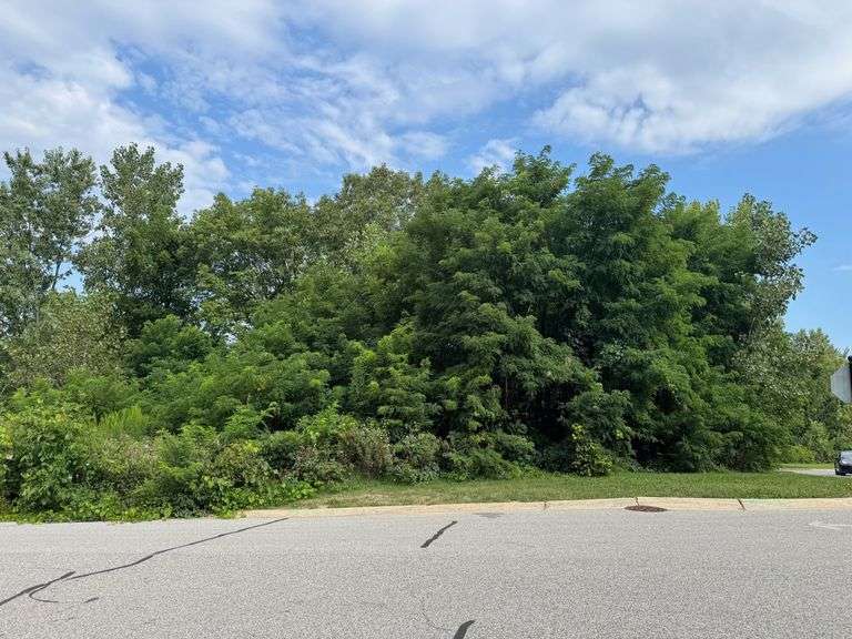 Lot 40- 724 Ketill Trace, Crown Point, IN - 0.416 Acre Lot