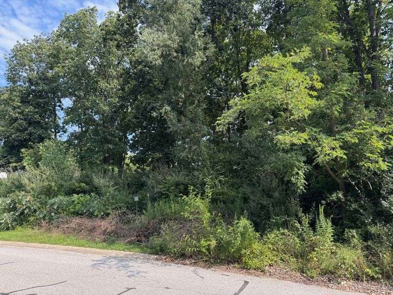 Lot 29- 747 Ketill Trace, Crown Point, IN - 0.360 Acre Lot