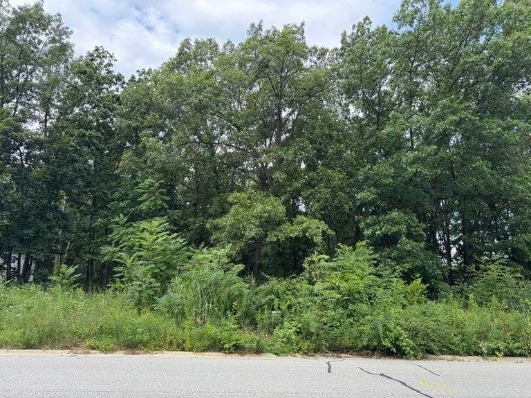 Lot 37- 732 Ketill Trace, Crown Point, IN - 0.385 Acre Lot