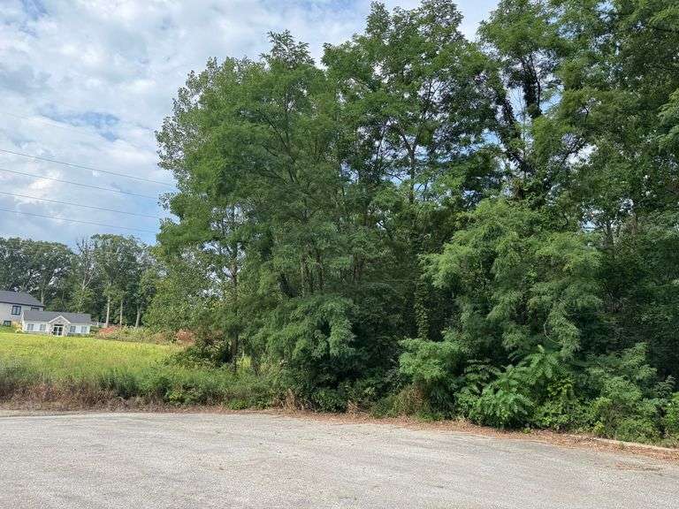 Lot 21- 32 Davidano Court Crown Point, IN - 0.343 Acre Lot
