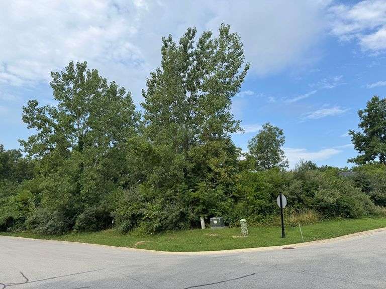 Lot 9 - 50 Mattico Lane & 714 Druim Trail Crown Point, IN - 0.728 Acre Lot