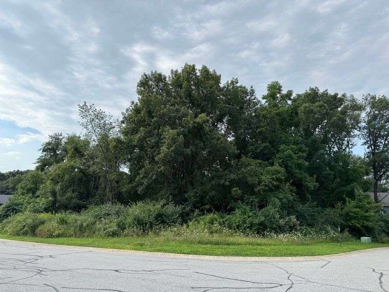 Lot 7 - 50 Annetto Court Crown Point, IN - 0.295 Acre Lot