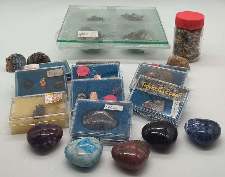 (G) Shells, Fossils and more. - Kraft Auction Service, LLC