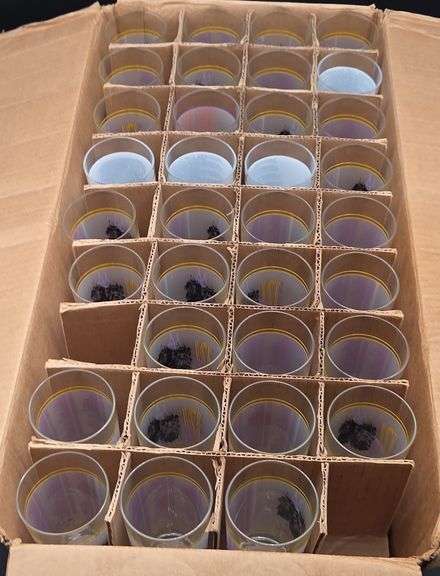 (U)(69)1997 Breeder Cup and 1998 Kentucky Derby Glasses