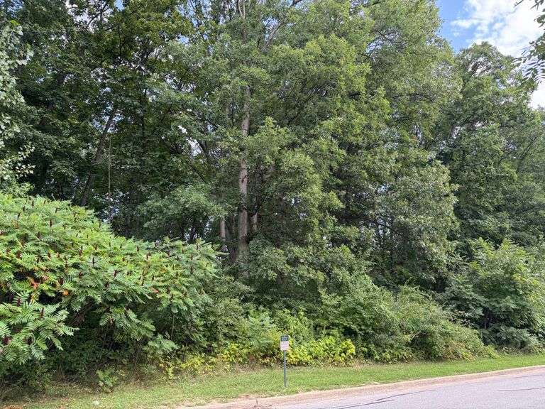 Lot 13 - 744 Verdano Terrace Crown Point, IN - 0.316 Acre Lot