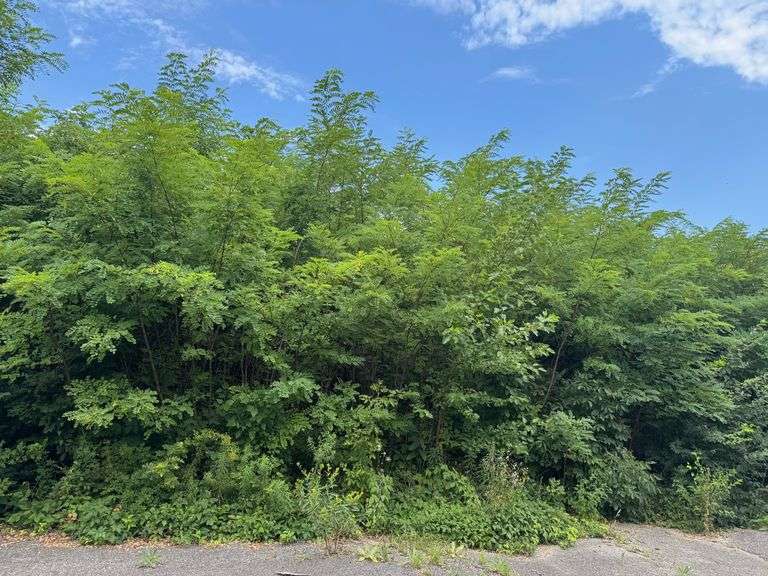Lot 23- Ketill Court Crown Point, IN - 0.608 Acre Lot