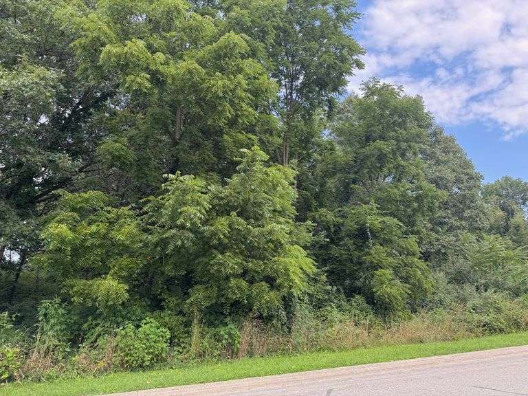 Lot 44- 84 Eskir Lane Crown Point, IN - 0.572 Acre Lot