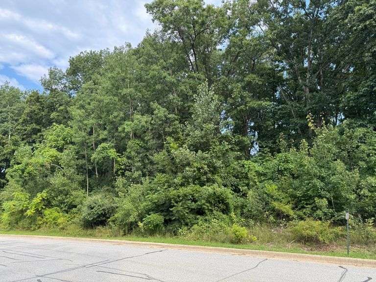 Lot 12 - 740 & 742 Verdano Terrace Crown Point, IN - 0.577 Acre Lot
