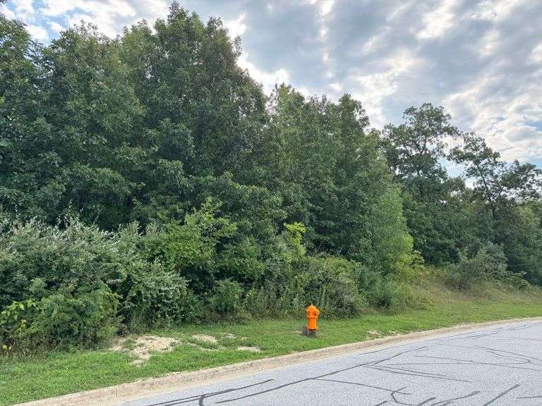 Lot 17 - 67 & 69 Morena Terrace Crown Point, IN - 0.678 Acre Lot