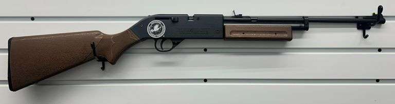 (AA) Crosman Pumpmaster 760 .177 Cal BB Air Riffle