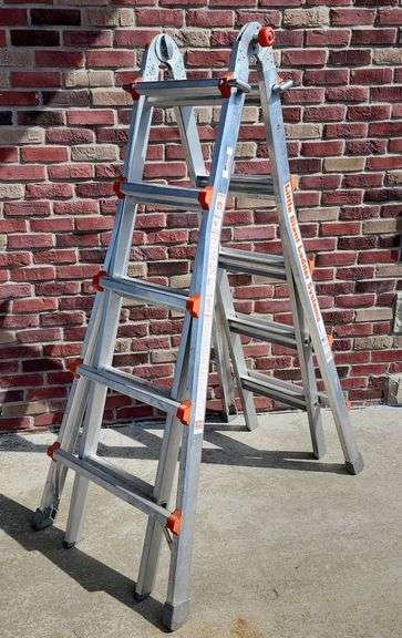 Wing Model 10103 Little Giant Ladder