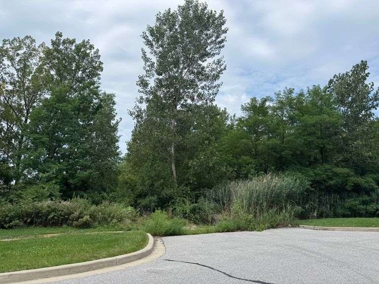 Lot 57- Micala Drive, Crown Point, IN - 2.89 Acre Lot