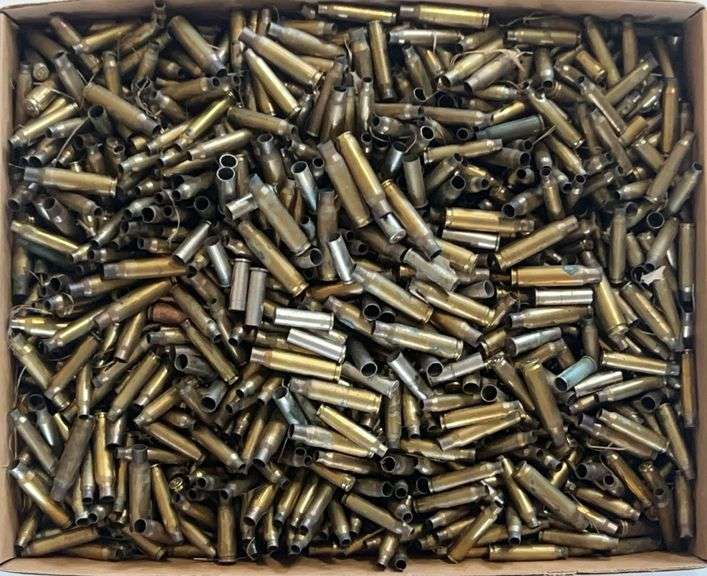 (BL) Lot: Mixed Ammo Shell Casings