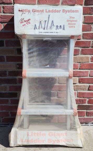 Wing Model 10101 Little Giant Ladder System