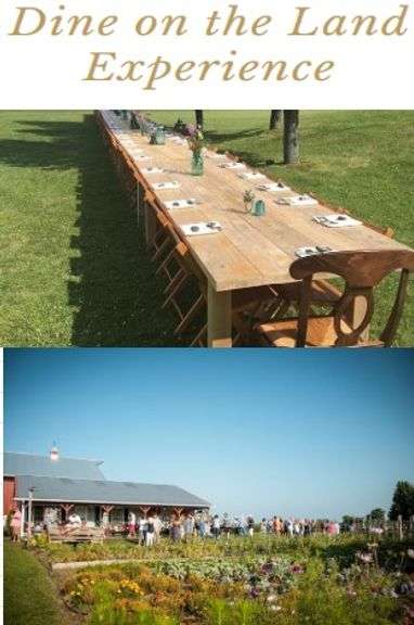 Locavore - Dine on the land for 4
