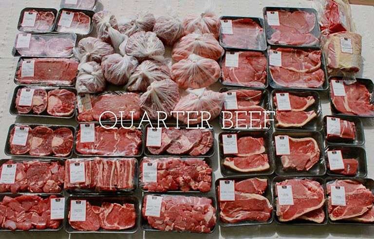 Quarter Cow