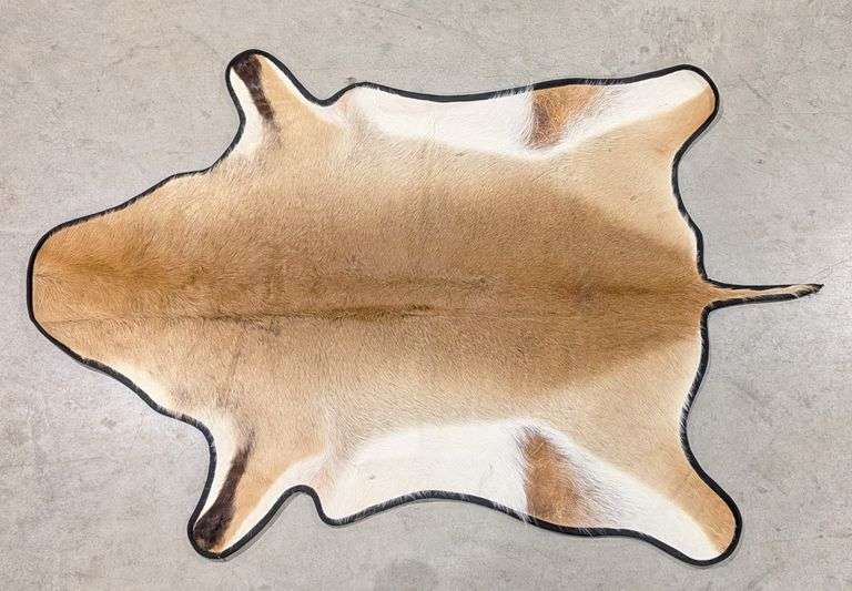 Impala Animal Rug African Impala Rug Taxidermy w/ Rug Backing - Kraft Auction Service, LLC