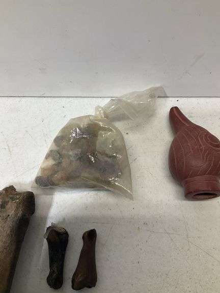 Fossil lot