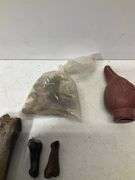 Fossil lot