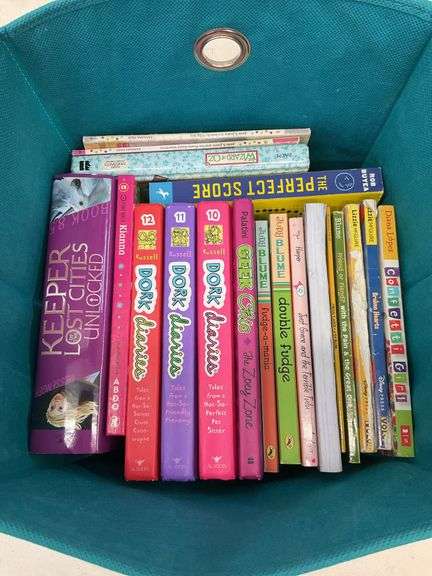 (Qty 19) teen chapter books