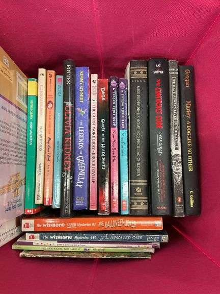 (Qty 22) teen chapter books