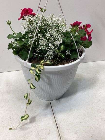10” Variety flowers in hanging basket